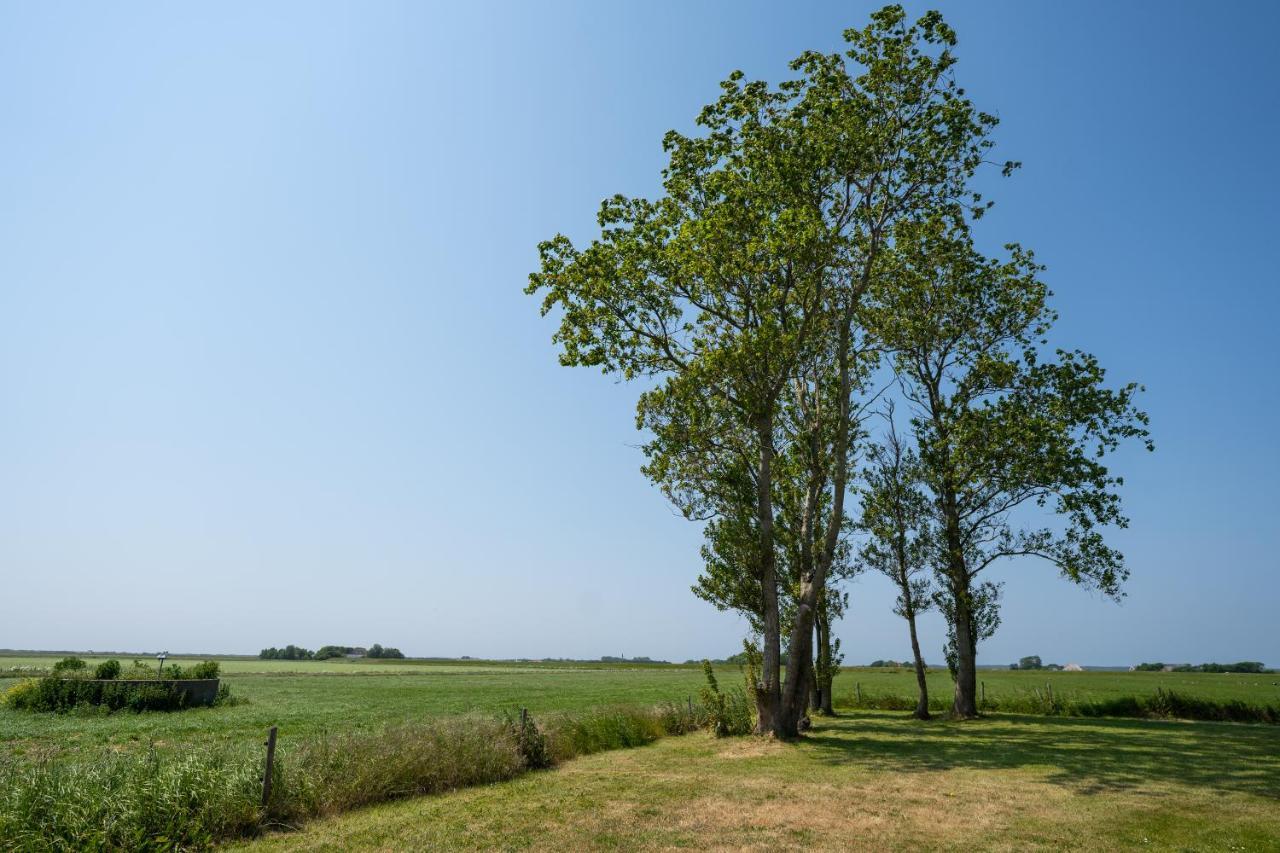 Johanneshoeve - De Mooiste Plek Op Texel Den Hoorn  Exterior foto