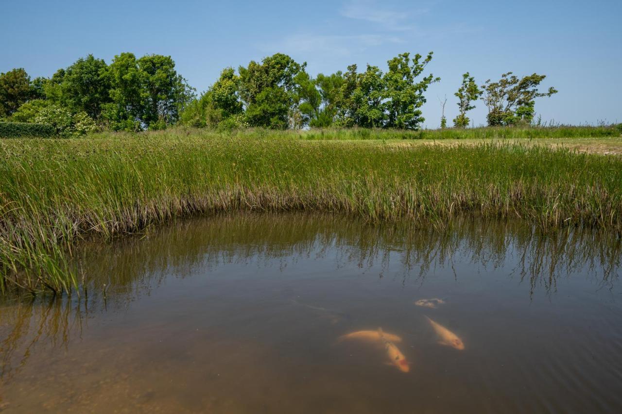 Johanneshoeve - De Mooiste Plek Op Texel Den Hoorn  Exterior foto